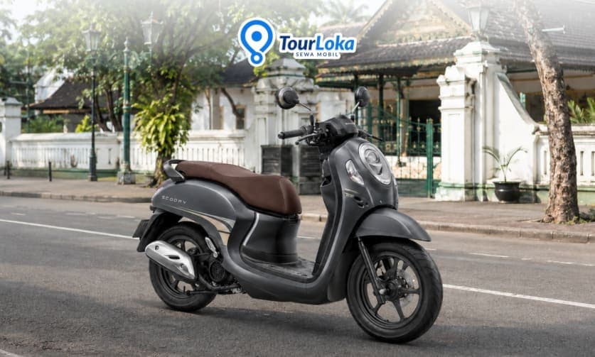 Scoopy